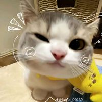 suara asli - 💐AFIFAH💐