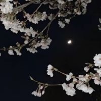 yuuna__yamahsj