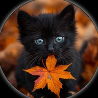 mim.akter09876