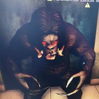 suara asli - Mann
