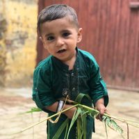 murshad872519