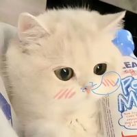 _empedacopo_2001
