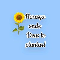 deixa_florescer_com_deus