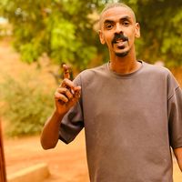 الصوت الأصلي