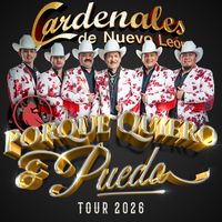 sonido original - Cardenales De NL Oficial