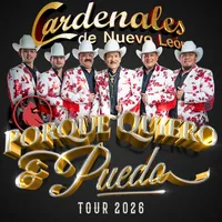 original sound - cardenalesdenl