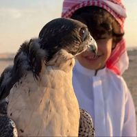 الصوت الأصلي
