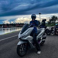 lingsheng19