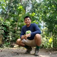 monkey08213