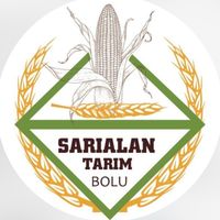 sarialan.tarim