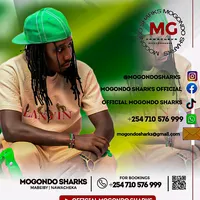 original sound - mogondosharksofficial