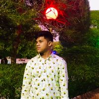 mdmahimkhan8120