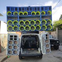 the_desquiciado_caraudio