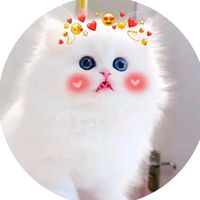 l...lotika...l
