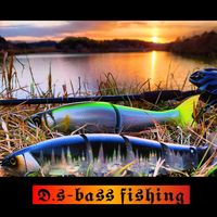 d.sbass.fishing