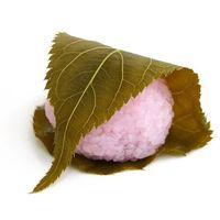 sakura.mochi.45