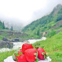 abuamirtravel
