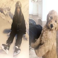 оригинальный звук