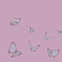 オリジナル楽曲 - 🌼ゆい🌼