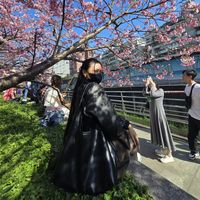 suara asli - ♓ 28 Februari🇮🇩🇹🇼