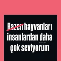 12cevlik01