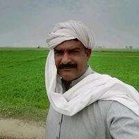 shehzad810