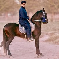 hannan_imran1
