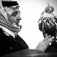 الصوت الأصلي