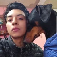 kiri.y.kiba