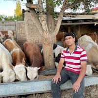 hasan_soyler