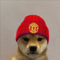 fejgdigl