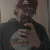 xylaraex0