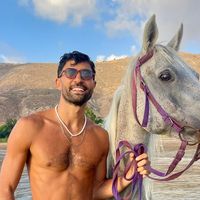avielamrusihorses