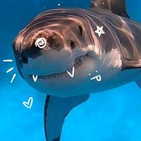 เสียงต้นฉบับ - kmikixxl