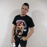 gato9822