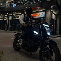 dilan_lr19