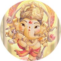 shineseer2