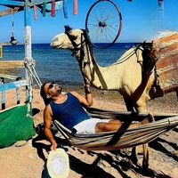 mostafafouad292