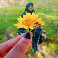 adhor_najipa7
