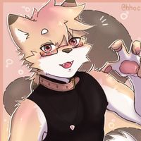 hhockie_