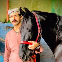 iqbalkhaskheli15
