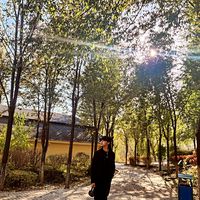 chinguun_official.com