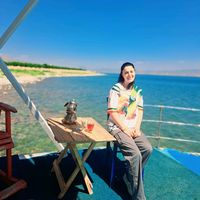 handan_efe