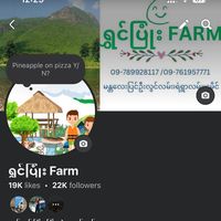 shwinpyonefarm