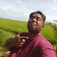 original sound - paktam477