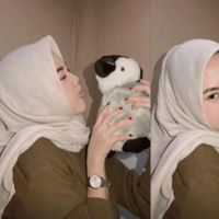 sih_cihh