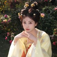 chinese_sr