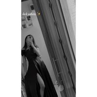 _panda1506