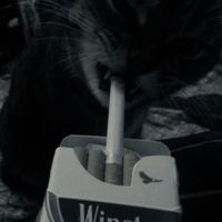 оригинальный звук