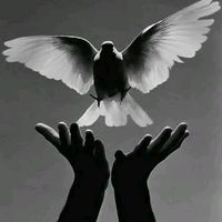 020.aliyeef